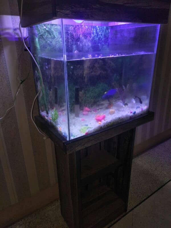 fish aquarium with 4 fishes oxygen pump lights 1