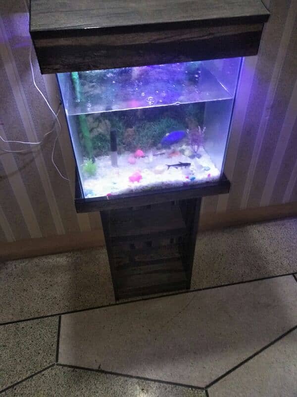 fish aquarium with 4 fishes oxygen pump lights 2