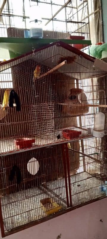 2 portion Cage for sale or birds matki for sale ONLY CAGE FOR sale 1