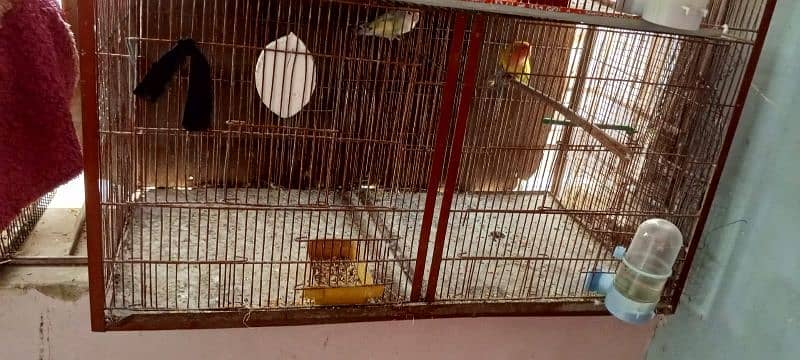 2 portion Cage for sale or birds matki for sale ONLY CAGE FOR sale 2