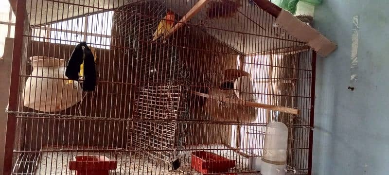 2 portion Cage for sale or birds matki for sale ONLY CAGE FOR sale 3