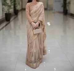 Gorgeous Net Saree with Velvet Blouse