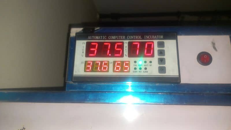 incubator 100 eggs fully automatic big system installed 6