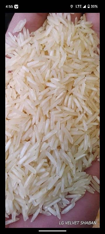 rice are available all quality 1