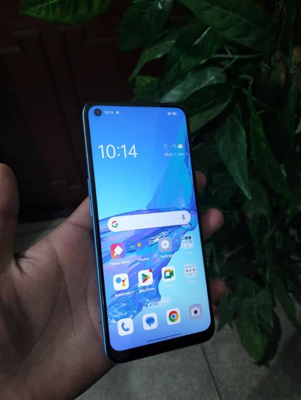 oppo A53 2