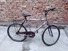 Shorab bicycle