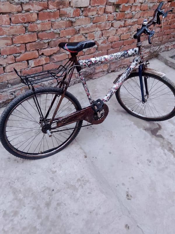 Shorab bicycle 6