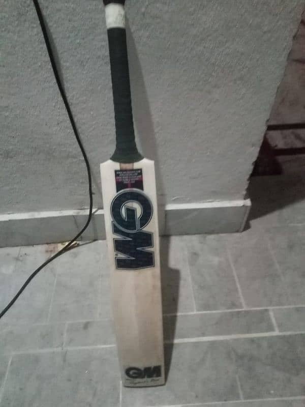 GM hard ball bat 03195660535 1