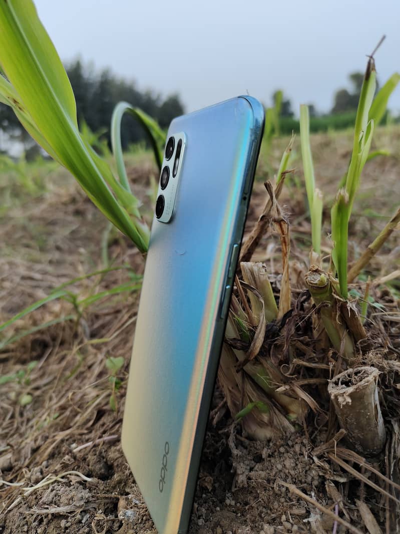 OPPO Reno 6 1