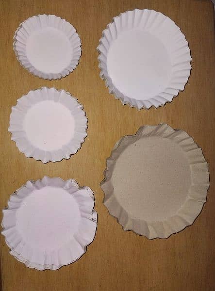 Paper Plates Best Quality 0