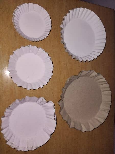 Paper Plates Best Quality 1