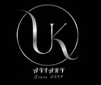 UK Avairy 7