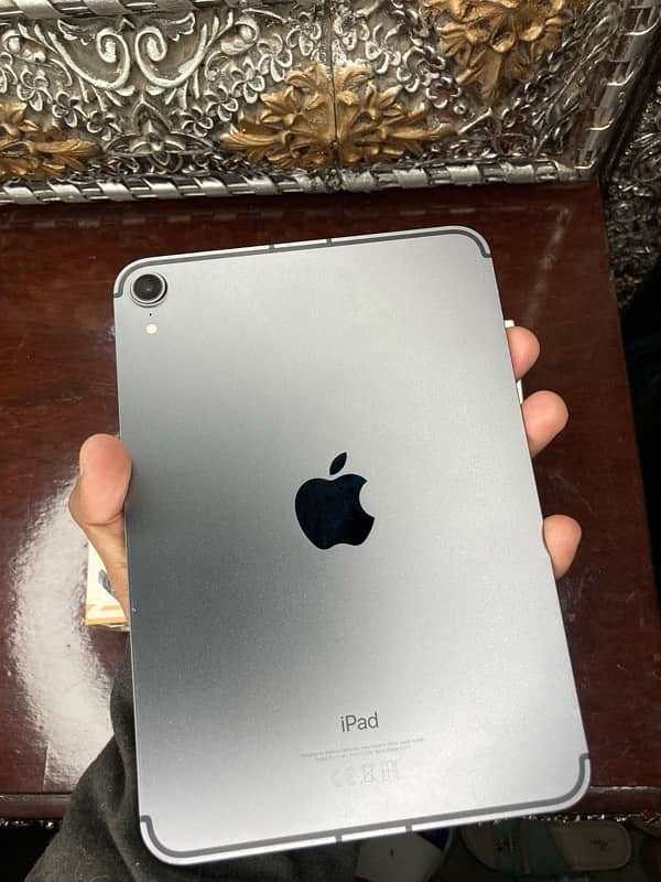 Ipad Mini 6 64/GB Cellular 5