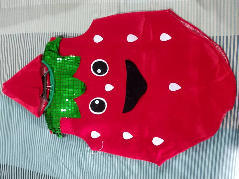 Strawberry Cosutme for Kids (with Cap) of age 06 to 08 years 0