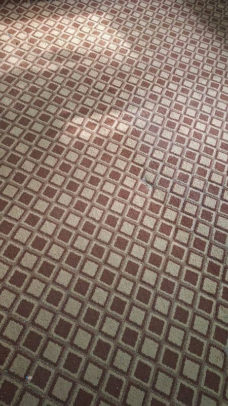 Used Like New Bedroom Carpet with Foam 2