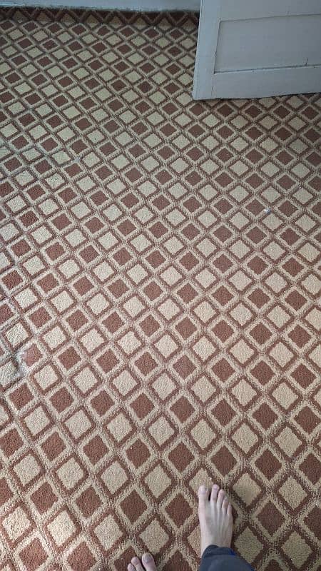 Used Like New Bedroom Carpet with Foam 3