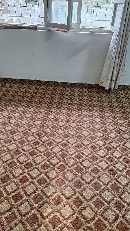 Used Like New Bedroom Carpet with Foam 4