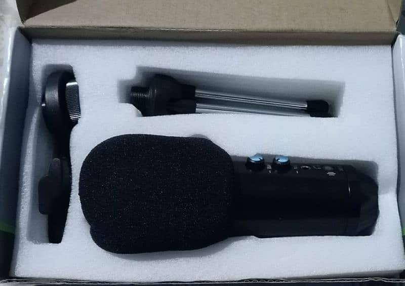 MICROPHONE 2