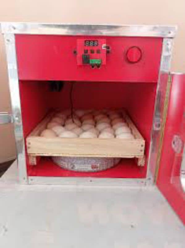 incubators , egg hatching machine , ando sy chozy niklnay wali machine 3