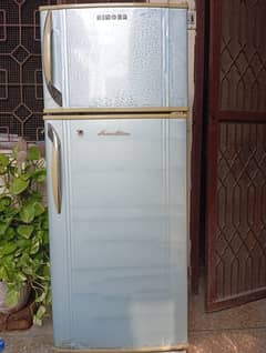 Singer Medium Size Fridge