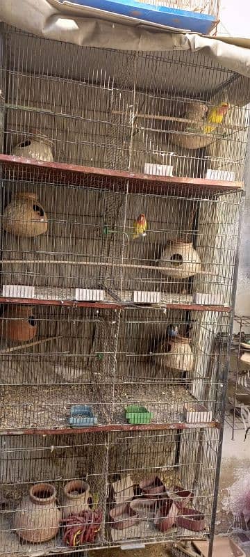 CAGE WITH PAIR 0