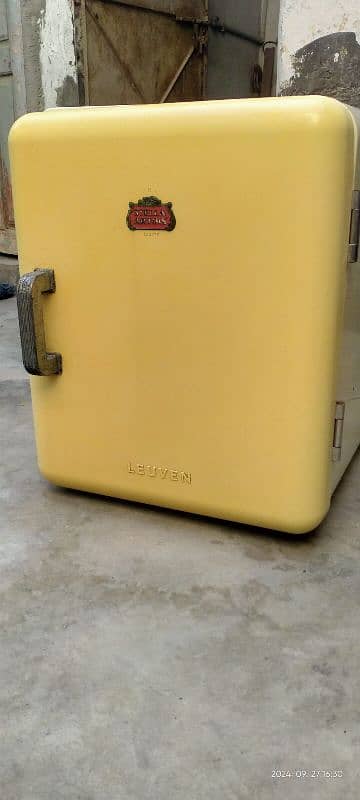 Mini Refrigerators & Freezers, Mini Fridge For Bedroom,100% Working 6