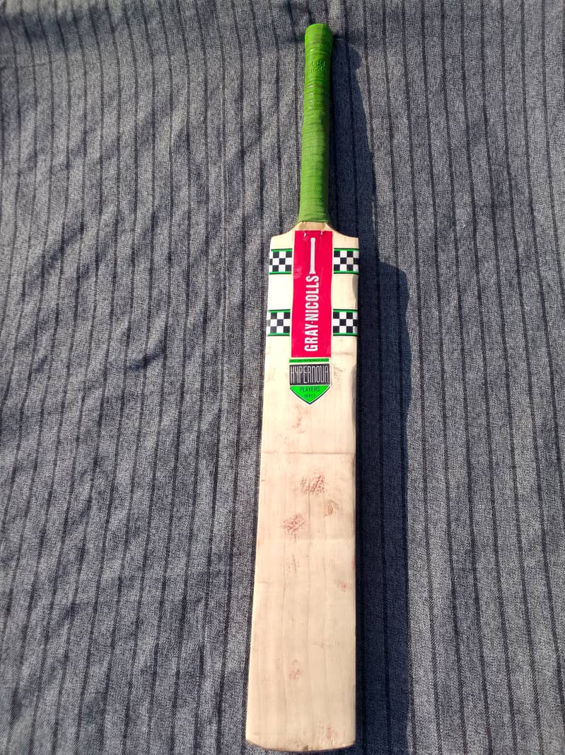 Gray Nicholas Kashmir Willow Bat 2