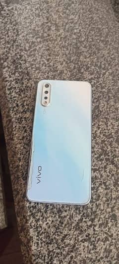 vivo