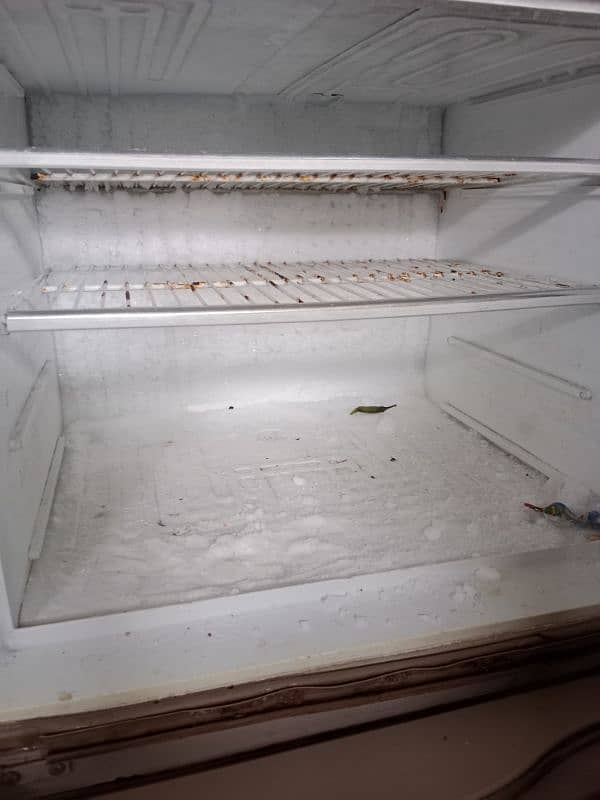 fridge behtarin condition home used hai 4