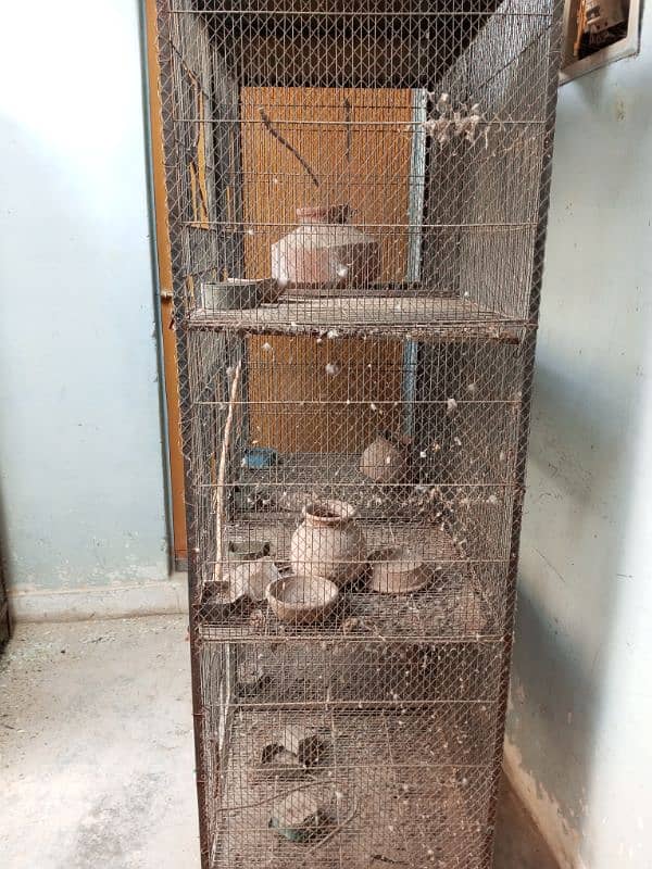 Parrot Cage 1