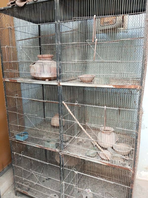 Parrot Cage 2