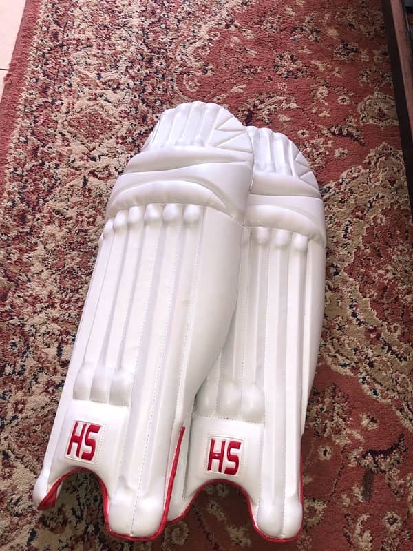 HS core 5 cricket pads 2