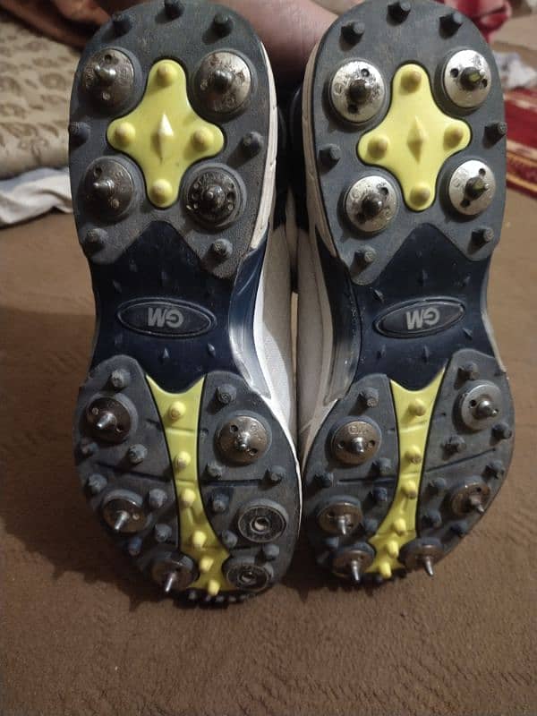 GM spikes shoes size UK 8, US 9, Pakistan 42 1