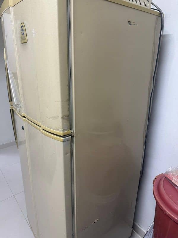 Pel Fridge and Stabilizer 4