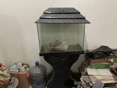 25 gallon aquarium