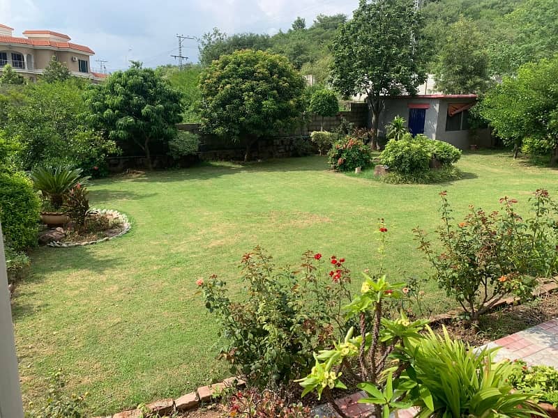 LUSH GREEN HOUSE LIKE FARM HOUSE FOR SALE NEAR IMRAN KHAN HOUSE 1