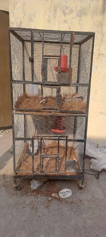 Hen Cage Iron Made 1