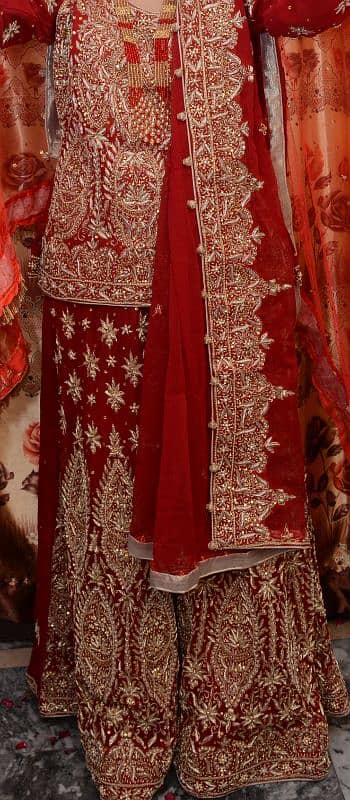 Bridle Lehnga For sale in Excellent Condition 3