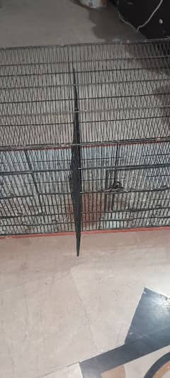 Cage  for sale 0347 5381068