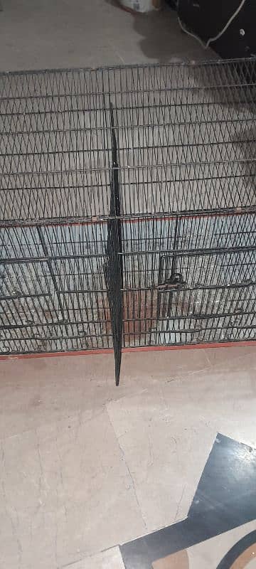 Cage  for sale 0347 5381068 0