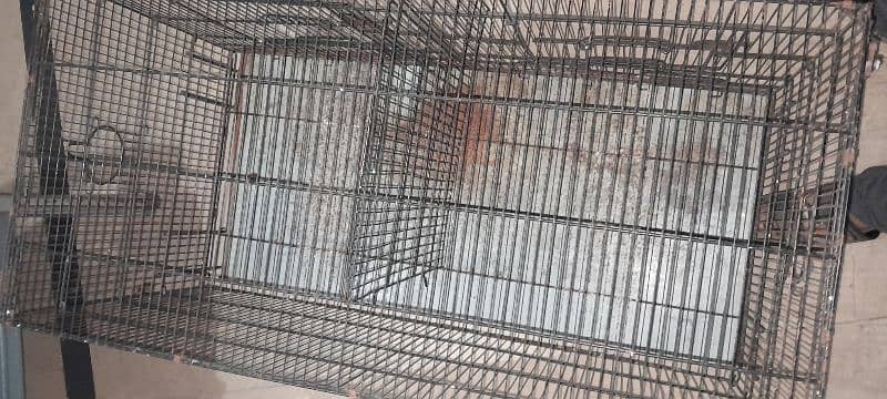 Cage  for sale 0347 5381068 1