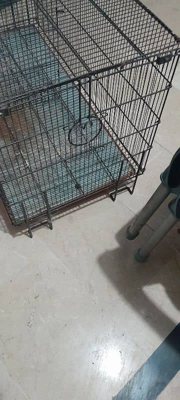 Cage  for sale 0347 5381068 4