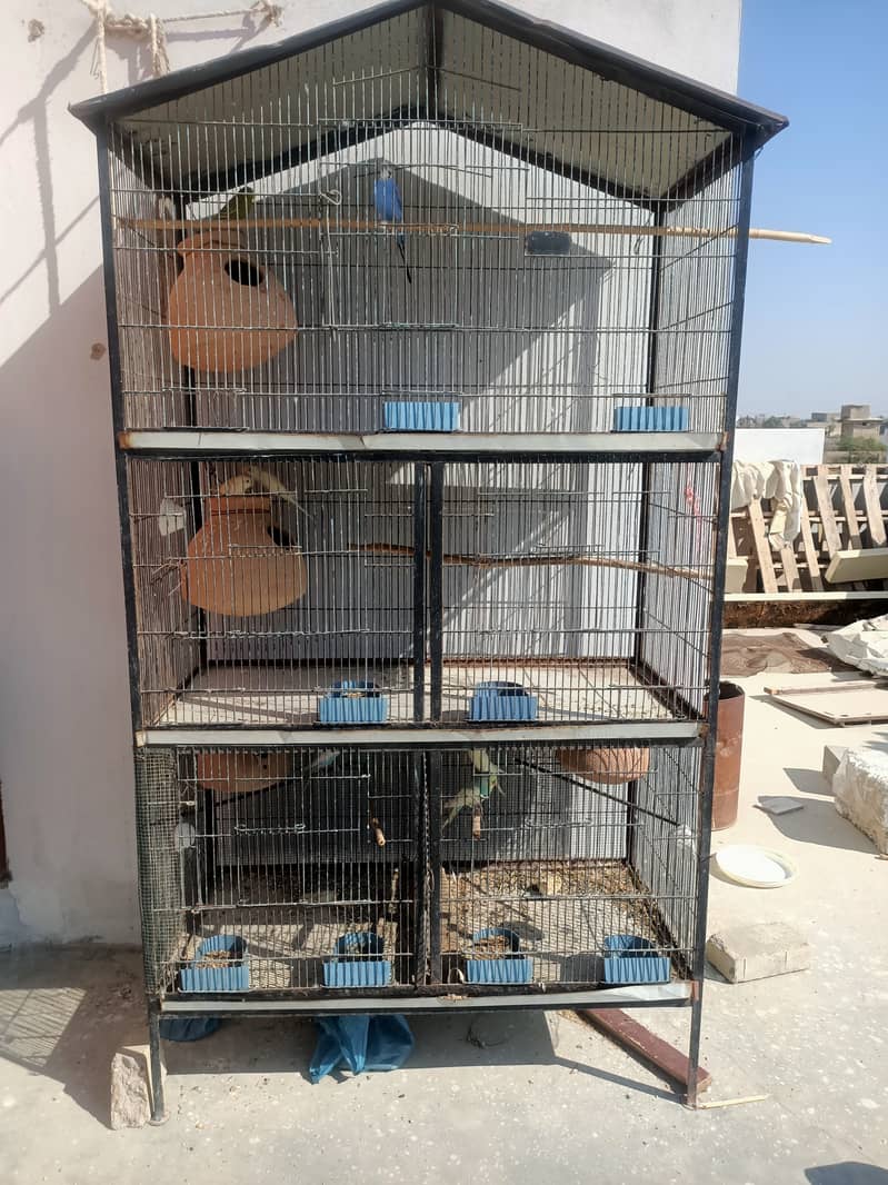 5 portion cage with 4 pair budgies 0