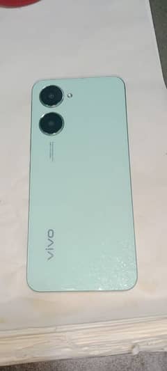 vivo