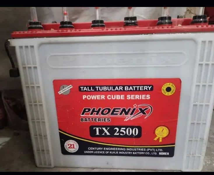 Tubler Battery 2