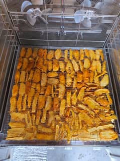 dehydrator,