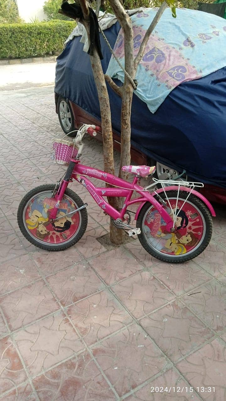 03155134311 Two kids cycle for sale one for boy and one for girl 0