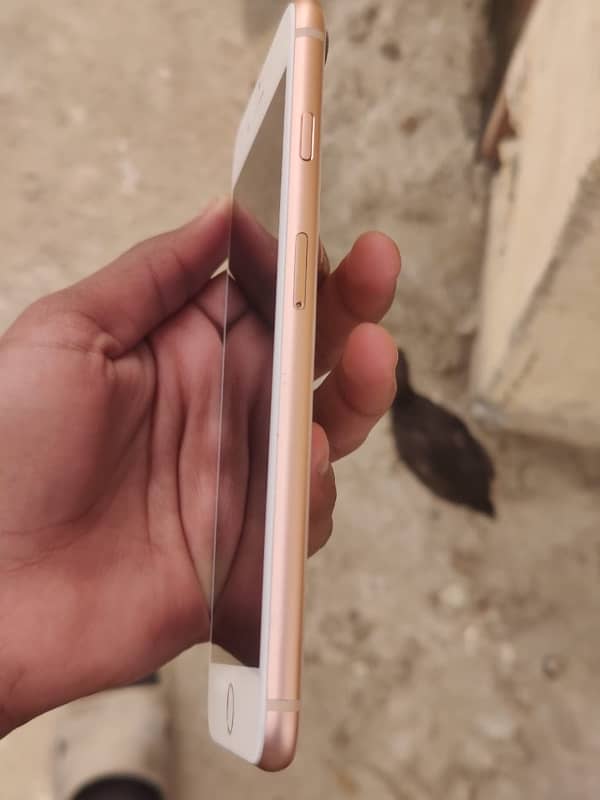 IPhone 8 Plus 64 gb pta approved 2