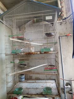 Birds Steel Cage Birds Wood Cage Rs8000