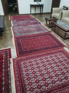 Silky  Rug Carpet Qaleen Small sizes